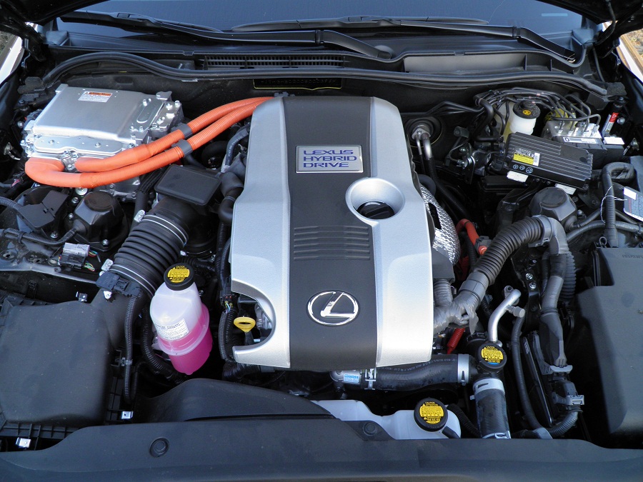 PA260043.JPG