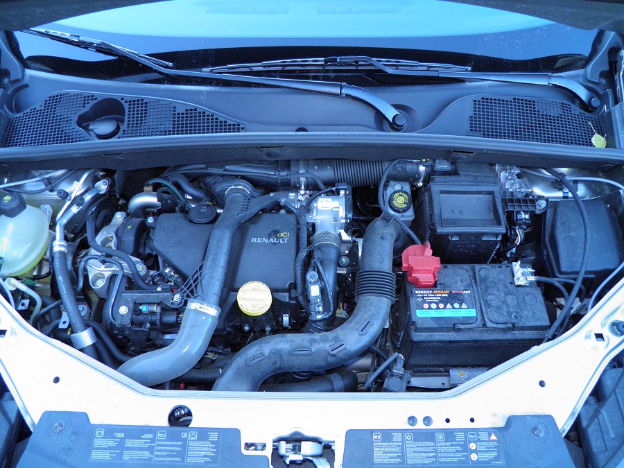 PB100055.JPG
