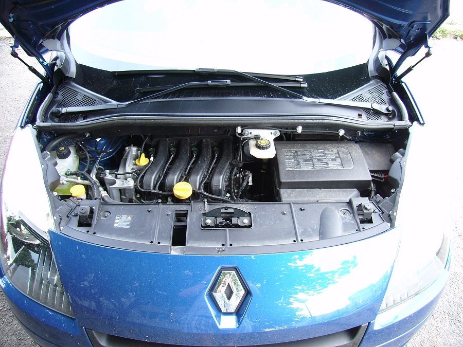 SA554676.JPG