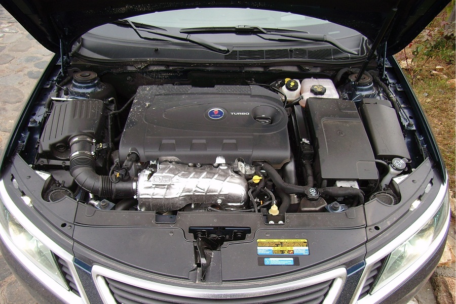 SA555636.jpg