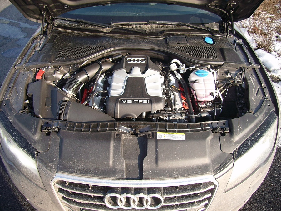 SA556556.JPG