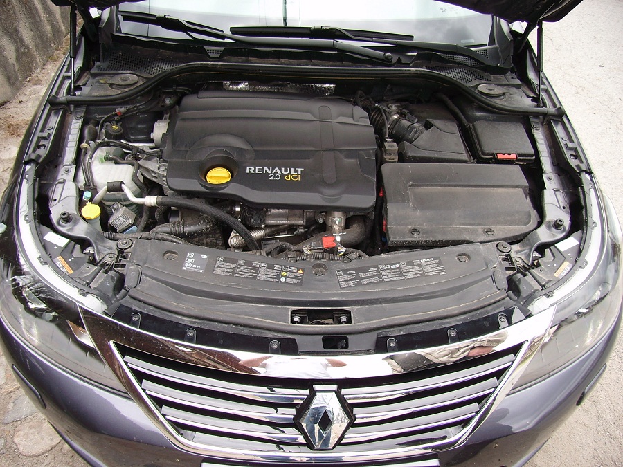 SA558079.JPG
