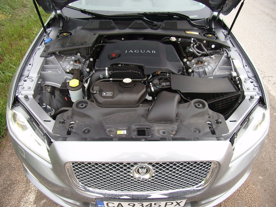 SA558157.JPG