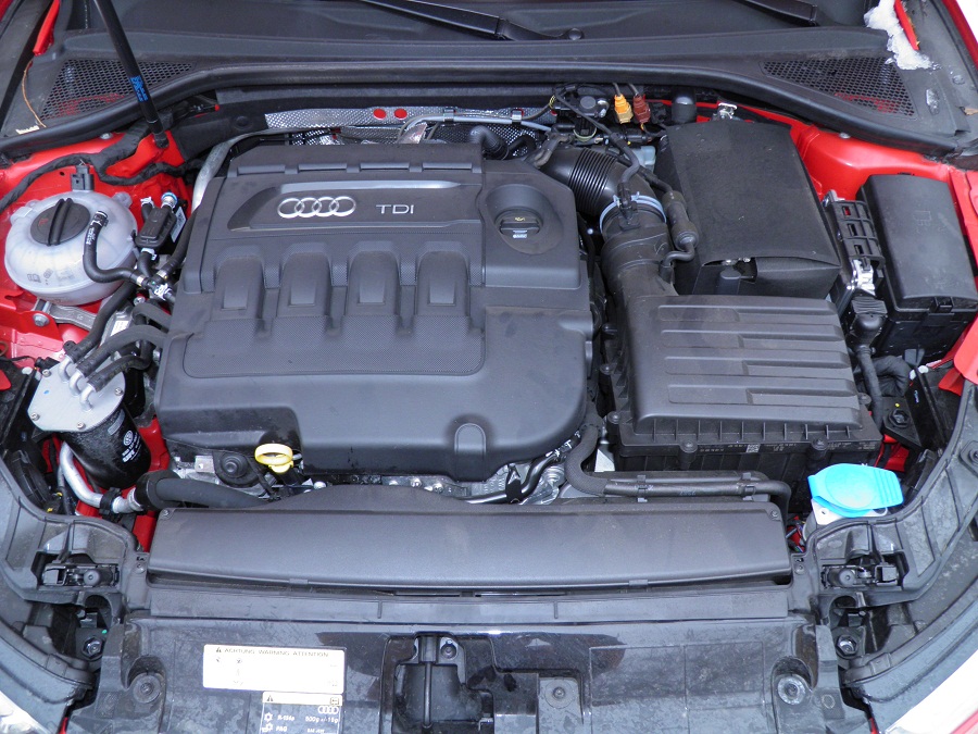 P2010030.JPG