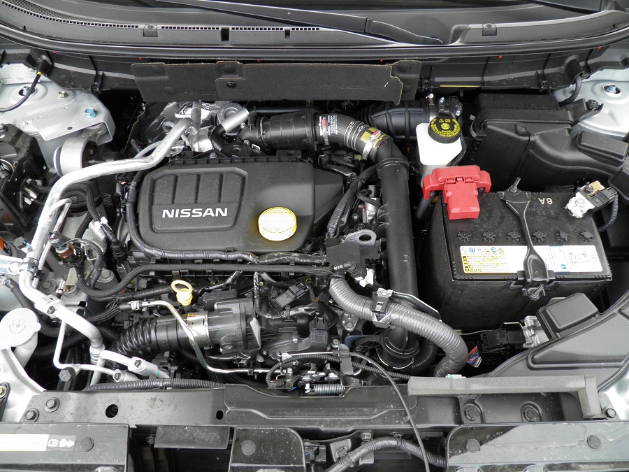P9250092.JPG