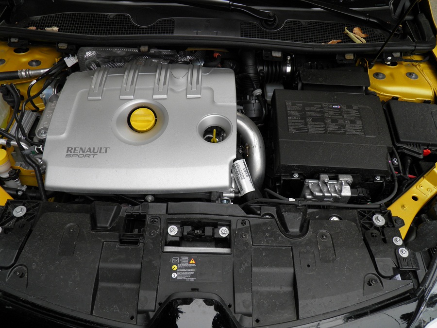 PB220110.JPG