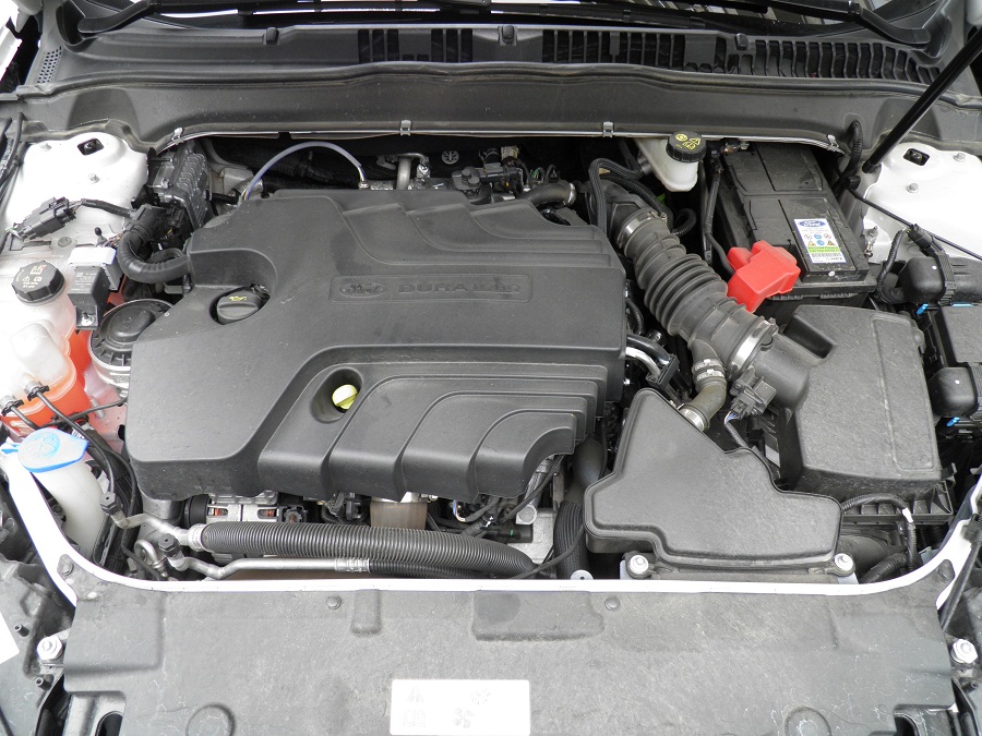 PA250092.JPG