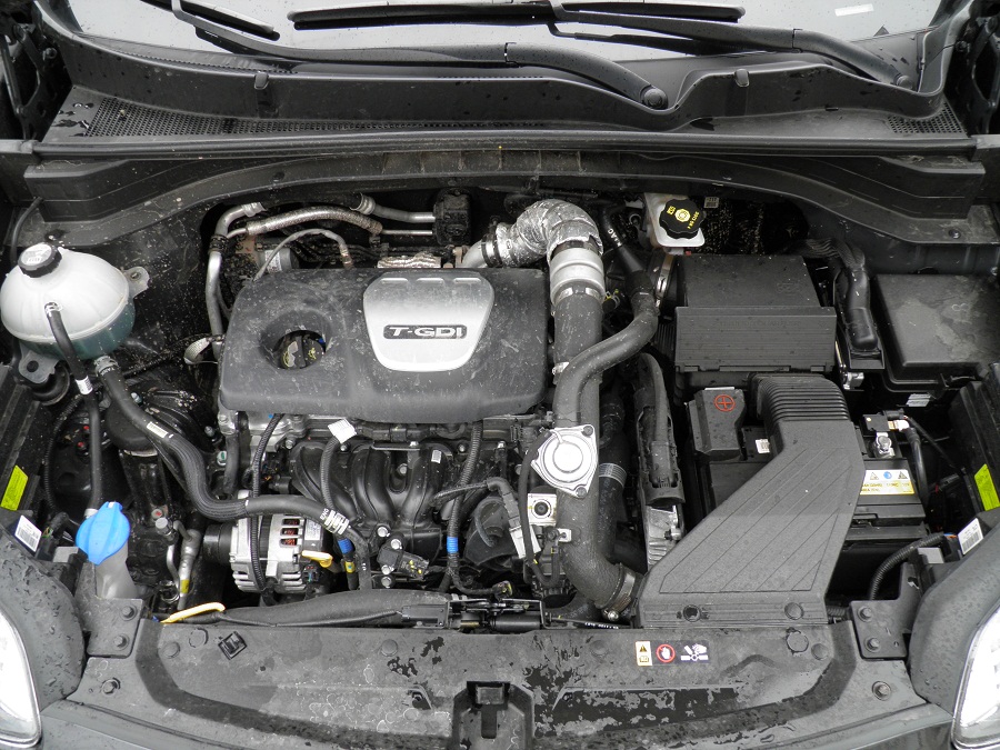 P3130053.JPG